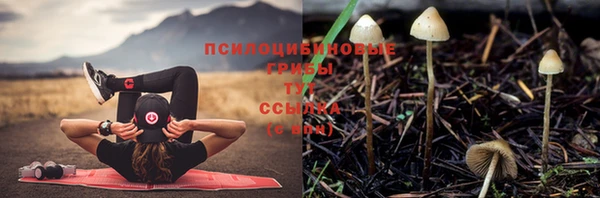 амф Нефтекумск
