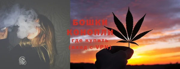 мдма Новодвинск