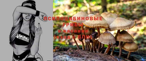2c-b Новозыбков